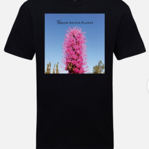 Screen Shot 2022-01-19 at 9.19.52 AM.png