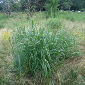 Screen Shot 2020-09-23 at 12.08.25 AM.pn