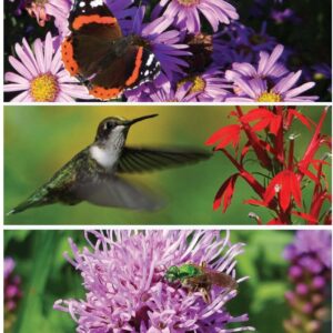 Pages from GMG Pollinator Plus Pamphlet 