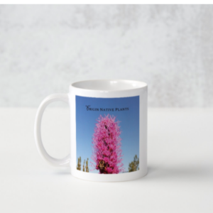 Screen Shot 2022-01-19 at 9.05.19 AM.png