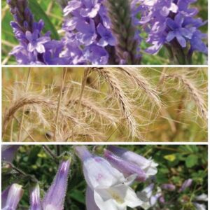 Pages%20from%20GMG%20Low%20Boulevard%20P