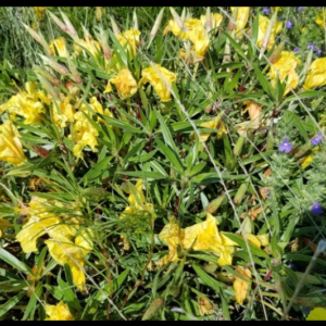 Screenshot 2025-07-27 11.35.14.png