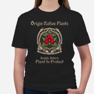 Screenshot 2025-08-03 10.42.50.png