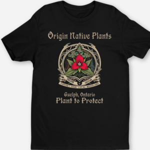 Screenshot 2025-08-03 10.42.18.png