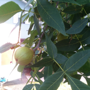 Screenshot 2025-08-20 09.58.39.png