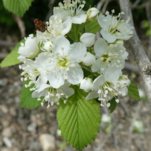 Screenshot 2025-09-23 20.04.57.png