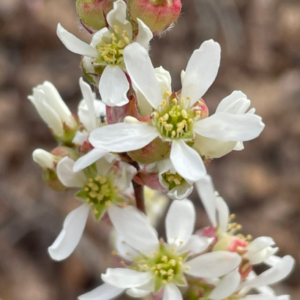 Screenshot 2025-10-14 07.11.54.png