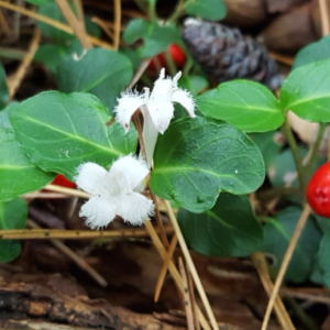 Screenshot 2025-10-13 09.27.43.png