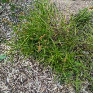 Screenshot 2025-10-27 13.10.51.png