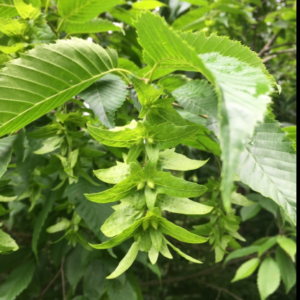 Screenshot 2025-10-13 19.50.59.png