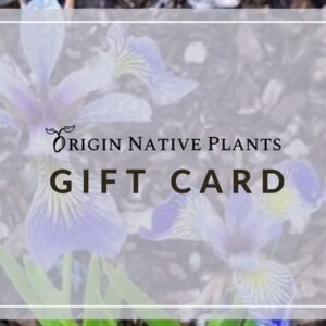 e-gift card
